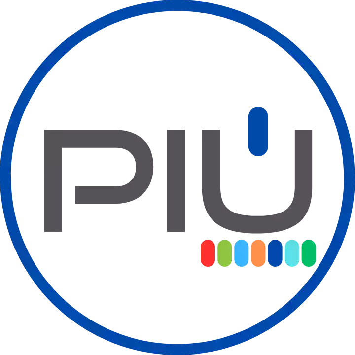 Più Elettrica